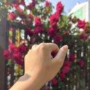 아이에스티(IST) 네이버블로그