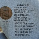 나무테크 이미지