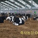 아침 이레 농장 이미지