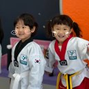 용인대열정태권도장 이미지