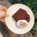 판교 대형카페 데이트 맛집 스테드패스트 커피앤웍스 솔찍후기!