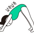 또;요가