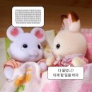 영원자동차공업사 | 이것 뭐에요? 기아인증중고차에 미친 사람 아니에요?(1)