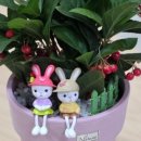 운유초병설유치원 이미지