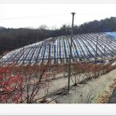 음지농장 이미지