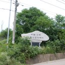 김순효자문 이미지