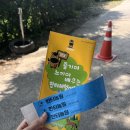 담산농장영농조합법인 | [용인 아이와 갈만한곳] 한터농원 물놀이 &amp; 먹이주기체험 후기 (경기도 아이랑 가볼만한곳 추천!)