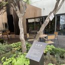 풍천재한의원 | (서울 강남구청) 작업하기 좋은, 주차가능한 카페 "맷카페" 방문후기