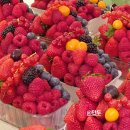 벤치호프 | 체코 프라하 3박4일 여행 5편: 스트라호프 양조장, 캄파섬, 말라스트라나, 코젤로브나