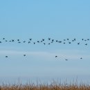 이병용 농장 이미지