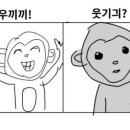 대진박 이미지
