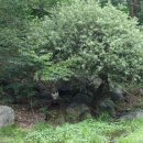 김삿갓로 이미지