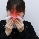 알레르기 이미지