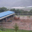 소유농원 이미지