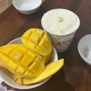 마현 | 포항 촌캉스숙소 마현민박 내돈내산 솔직후기
