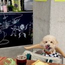 화남2차(아) 이미지