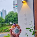 강정동-66 이미지