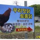 늘푸른유정란농장 이미지