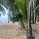 경남스(S)마트 | [여행] 2024.11 푸켓 5박 7일 #2 / 카오락 / 더헤이븐리조트 3박 4일