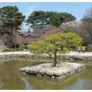 호암한의원 이미지