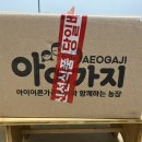 아어가지 이미지