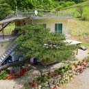 솔마루 민박 이미지