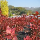 천사농장 이미지