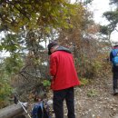 나루터 회관 이미지