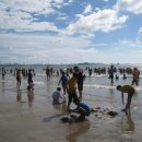 왜목오토캠핑장 이미지