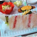 바다의 만찬 | 신선함이 가득한 바다의 만찬, 속초 미식 탐방기