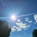 제주파크장 이미지