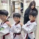 서초용인대태권도 이미지