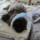 송죽센타프라자 이미지