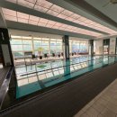 롯데호텔울산사우나 | 찐내돈내산) 울산 롯데호텔 후기 ㅣ 수영장 사우나