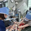 기흥동물병원 이미지