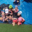 용인대 도곡 태권도장 이미지