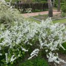 Archive Factory(아카이브팩토리) | 수목원보다 좋았던 오산 아모레 퍼시픽팩토리 정원