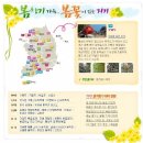 화성허브주유소 | 포털 지도로 찾아본 봄꽃 나들이길