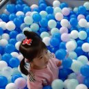 헬로방방장 Daum카페