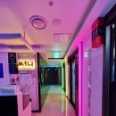 써니코인노래연습장 이미지