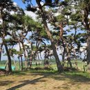 고추골솔바람마을 이미지