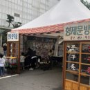 크라잉넛의 열정, 자우림의 감동, 광명페스티벌 후기
