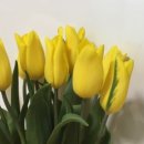 롯데백화점 대구역 뒷편 이미지