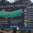 양산8경 금강둘레길/ 1경 천태산 녕국사(寧國寺), 돌탑과 은행나무 이미지