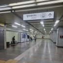 2026년 병오년 개띠 1월 정모 이미지