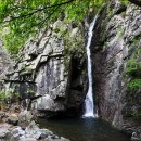 [테마 2025년 9월 27일 토요일 ]문경 문경새재 트레킹 + 봉천사 개미취 축제 안내 이미지