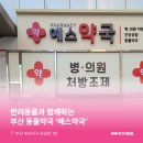 예스약국 이미지