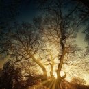 삼주한의원 이미지