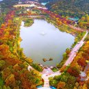 수도권 단풍 1등은 따로 있었네요” 매년 400만 명이 찾는 대표 무료 단풍 명소 이미지