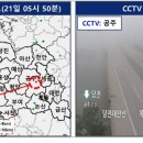 충남밤